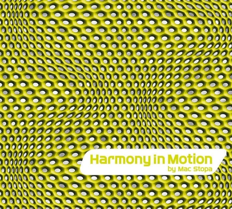 Harmony in Motion